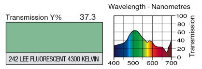 242 Fluorescent 4300 Kelvin
