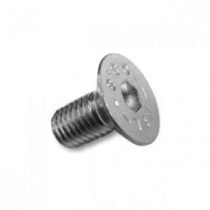 Duratruss DT Screw M10x20 BPL